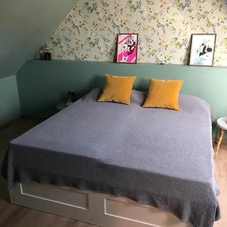 Paradiesje 2 Leer